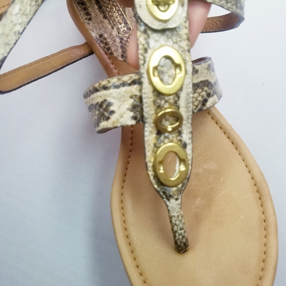 🌸 Coach | Snakeskin Leather Sandals 8.5 - Picture 4 of 7